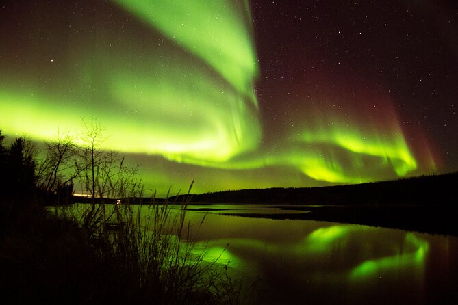 The Greatest Valuable Aurora Manor & Hunting Tour --Exclusive Tour Operator - Good To Know