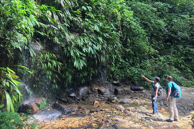 The Native Expedition - Sierra Nevada (2 Days Discovering Chorrerón Waterfall) - Overview of the Tour