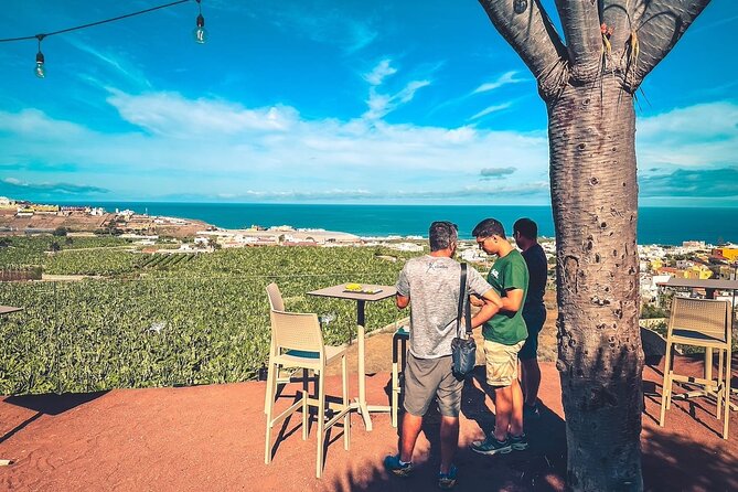 The North Coast Tour - Plantation, Rock Pool Snorkel, and Sunset - Good To Know