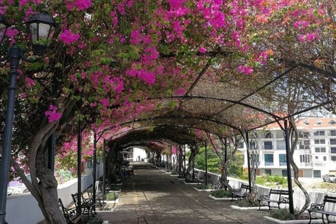 The Pearl of the Pacific & The Walled City Walking Tour - Overview of the Tour