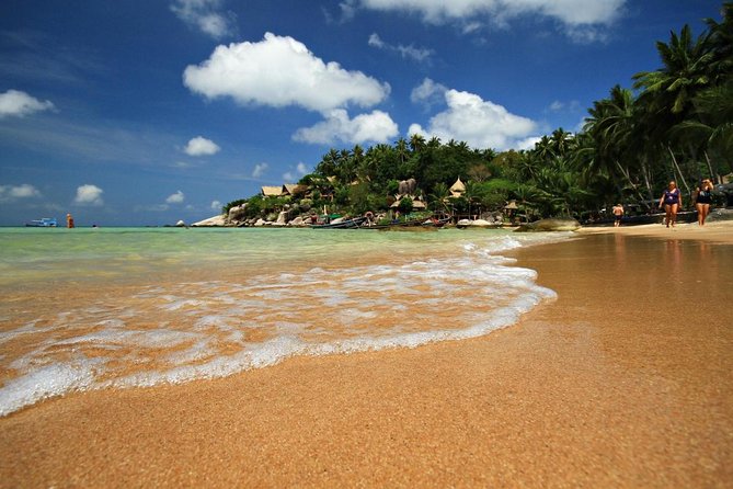 The Red Baron Luxury Yacht Cruise From Koh Samui With Return Transfer - Good To Know