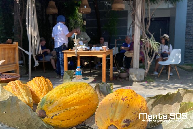 The Ultimate Cocoa Farm Experience - Good To Know
