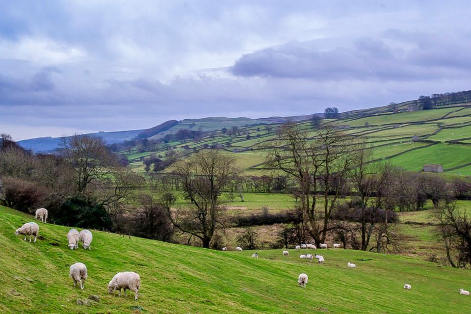 The Yorkshire Dales Tour From York - Good To Know