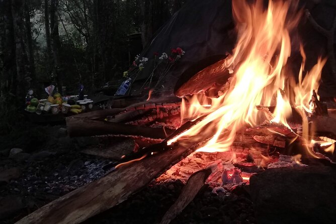 Therapeutic Temazcal: Harmony and Rebirth in the Forest - Sanctuary in the Forest