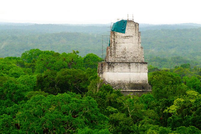 Tikal Maya Temple Tour From San Ignacio With Sit Down Lunch - Tour Overview and Details