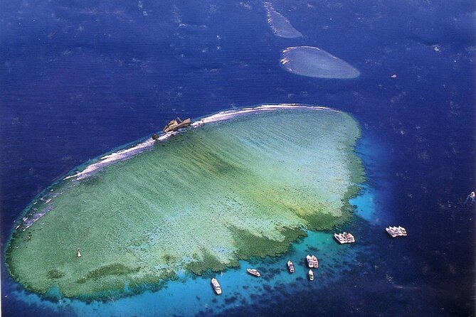 Tiran Island Full Day Snorkeling Sea Trip & Intro Dive 15 Min - Sharm El Sheikh - Tour Highlights and Inclusions