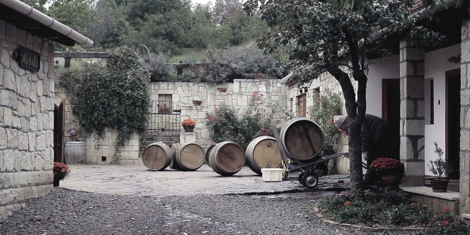 Tokaj and Sárospatak Private Day Tour From Budapest - Good To Know