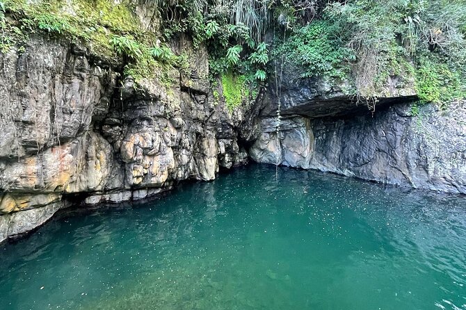 Toro Negro River Hike & Cliff Jumping Adventure; San Juan Pick Up - Good To Know