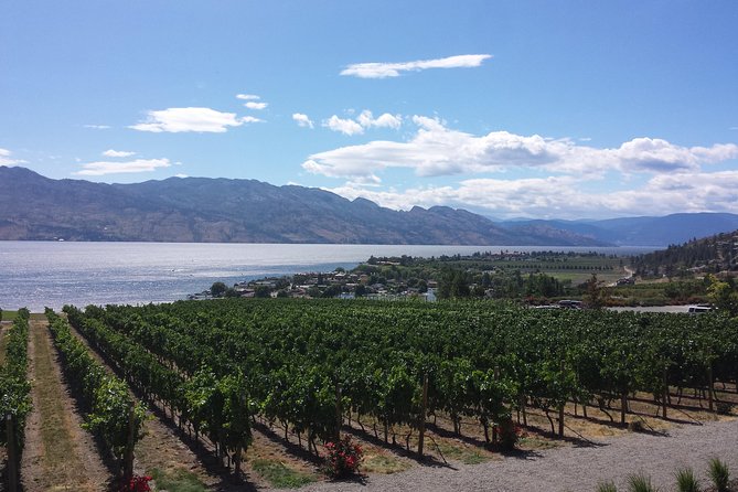 Tour and Taste Okanagans Wine Country - Good To Know