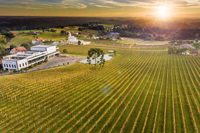 Tour Gran Reserva - Valley of the Vineyards - Good To Know