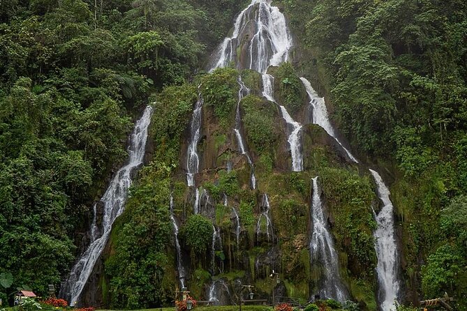 Tour to Santa Rosa De Cabal Coffee Farm and Hot Springs - Good To Know