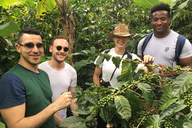 Traditional Bogotá Coffee Tour - Good To Know