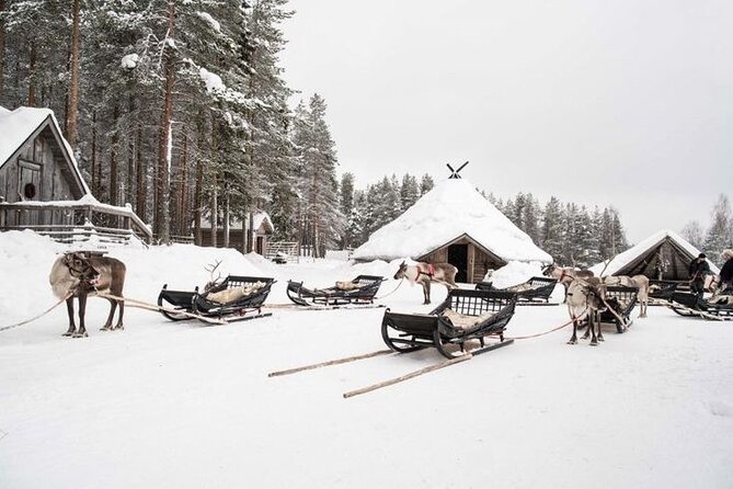 Traditional Reindeer Farm Visit With a Short Sleigh Ride - Good To Know