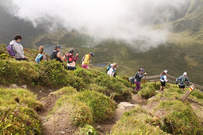 Trail Running Private Tour in Faial - Tour Overview