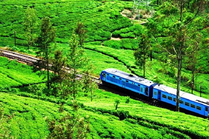 Train Tickets From Nanuoya (Nuwaraeliya) to Ella - Good To Know