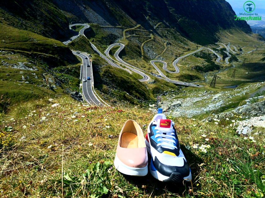 Transfagarasan Amazing Road Trip🐻 From Brasov - Good To Know