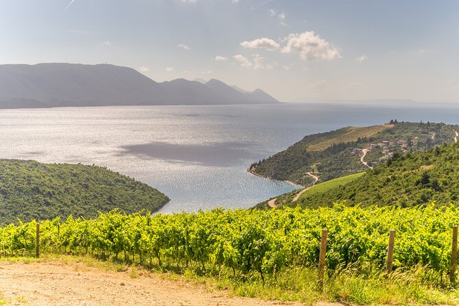Transfer From Dubrovnik to Split With 2 Hours Stop in Ston Town - Good To Know