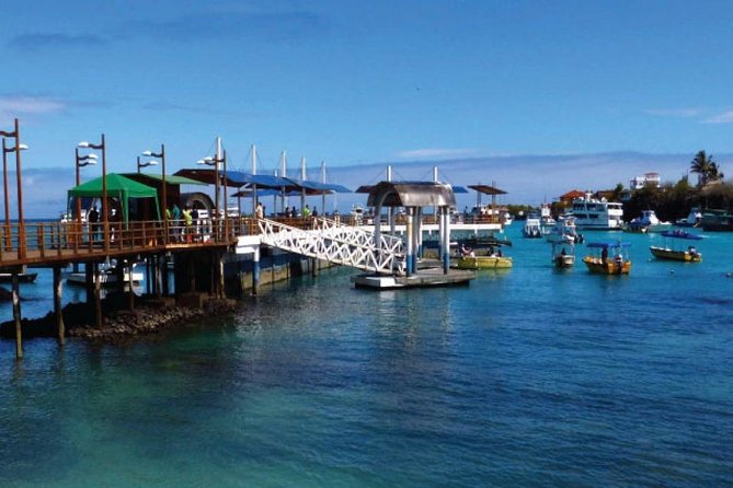 Transfer From Santa Cruz Island to Isabela Island - About Your Stay