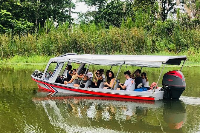Transfer From Tortuguero to Moin by Boat - Good To Know