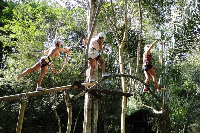 Tree Climbing In Bonito - Good To Know