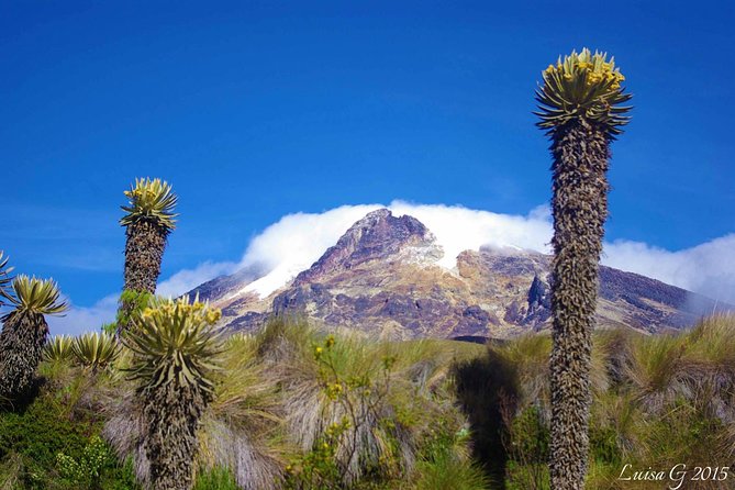 Trekking at Los Nevados National Natural Park - Good To Know