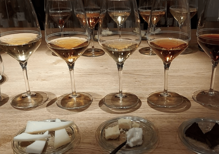 Trieste: Wine Tasting From Istria, Carso and Friuli Terroirs - Highlights and Features