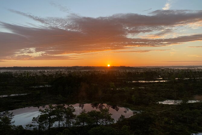 Trip to Kemeri National Park & Jurmala From Riga - Key Points