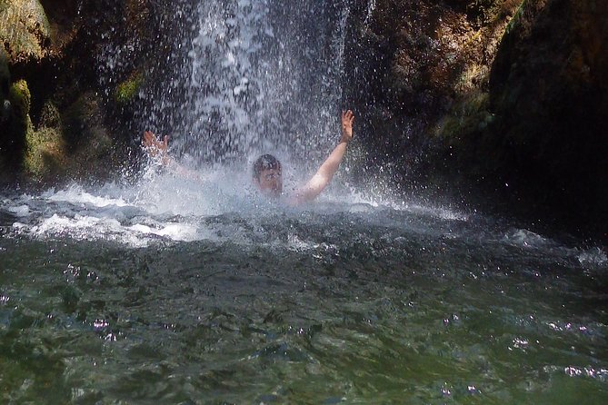 Troodos Walking Trip (Artemis +/Myllomeris Waterfalls) - Private From Nicosia - Good To Know