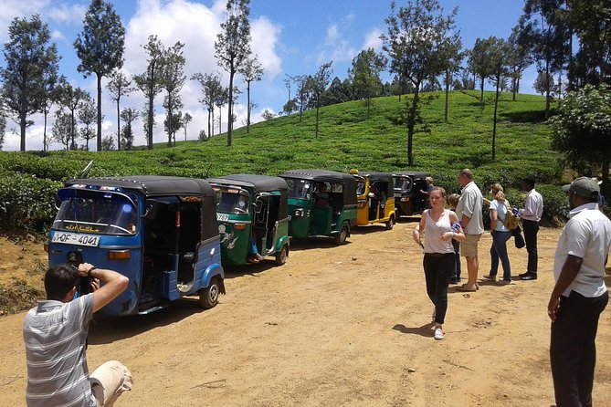 Tuk Tuk Safari and Picnic in the Tea Plantation From Ella,Haputale & Bandarawela - Good To Know