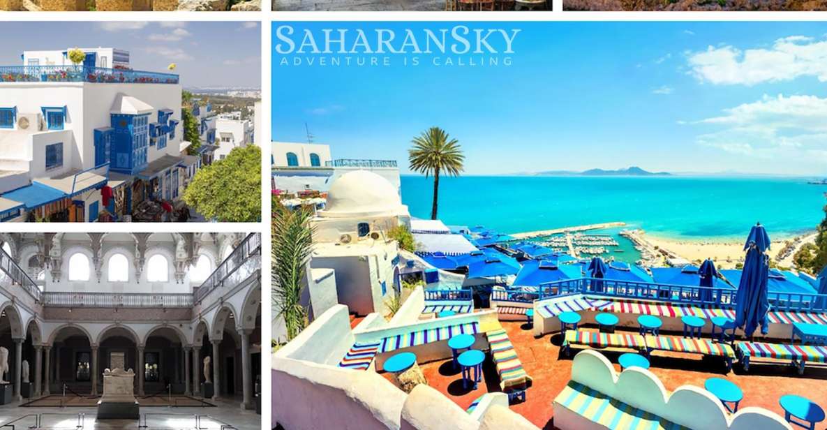 Tunis: Carthage, Bardo, Sidi Bou Said and Medina Tour - Good To Know