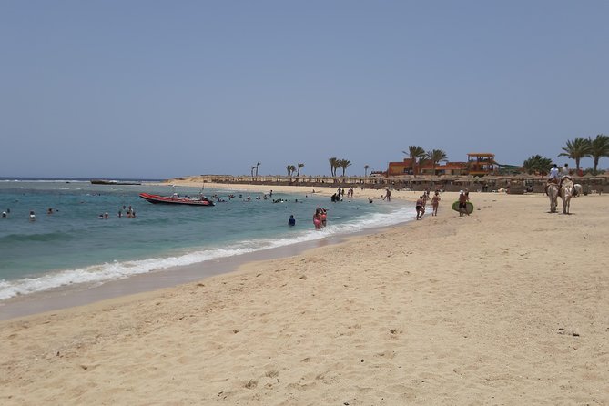 Turtles Bay, Swimming With Turtles Hurghada & Marsa ALAM - Good To Know