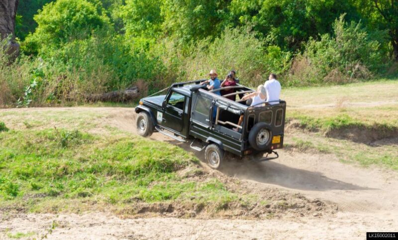 Tusker Safari at Kalawewa National Park - Good To Know