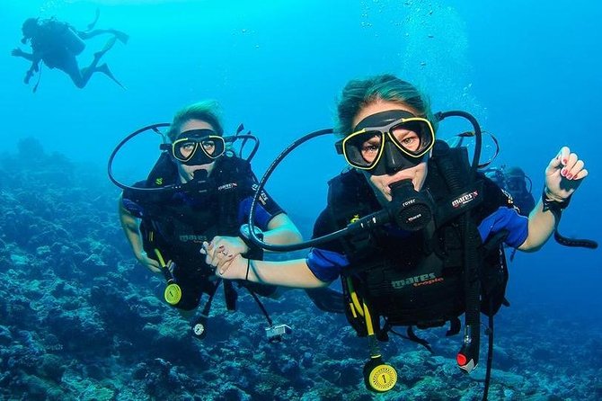 Two Dives for Certified Divers and Snorkeling in Fujairah - Good To Know