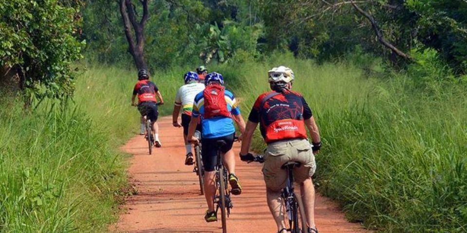 Two-Wheeled Toddy Hunting Adventure in Bentota. - Good To Know