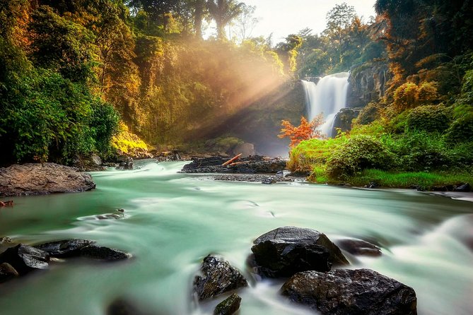 Ubud Village Sightseeing, Famous Paddy Field And Ubud Waterfall - Exploring Ubud Traditional Market