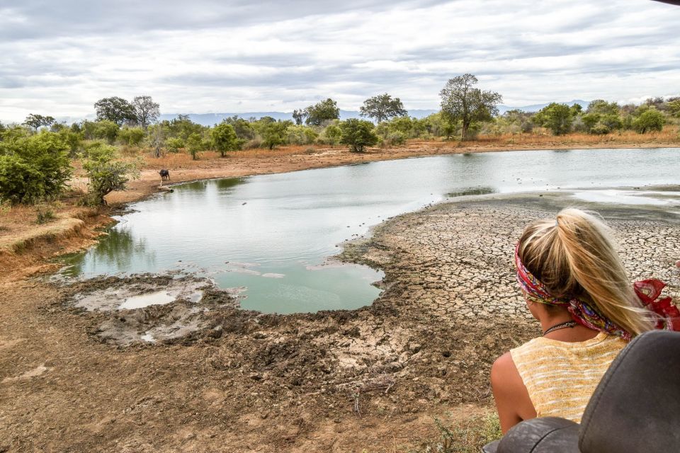 Udawalawe: Full-Day Safari Experience With Lunch - Good To Know