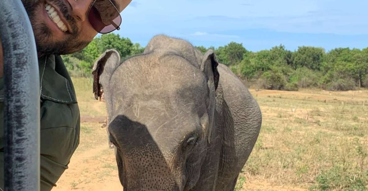 Udawalawe National Park Wildlife Safari From Galle - Good To Know