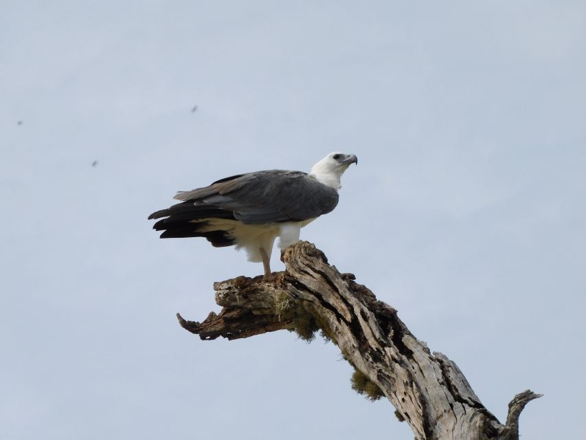 Udawalawe Safari Tour From Hambantota Port(Shore Excursion) - Good To Know