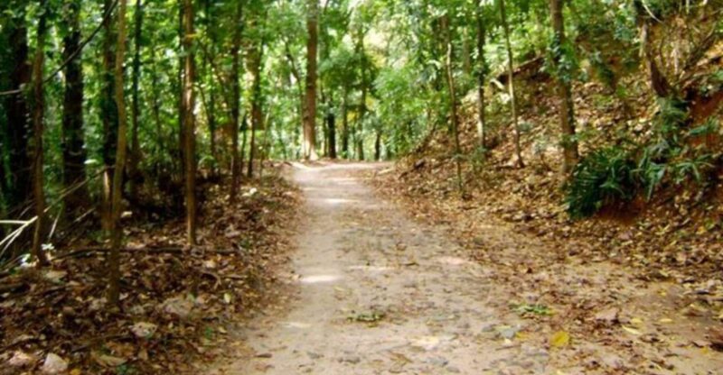 Udawatte Kele:Birdwatching and Nature Trekking Experience - Good To Know