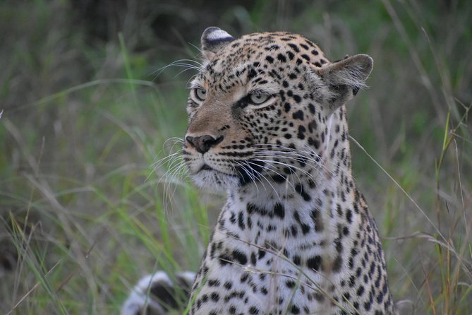Uganda Wildlife & Activity Holiday - 15 Days - Good To Know