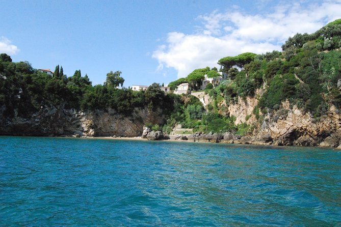 Ulysses Coast Boat Tours - Good To Know