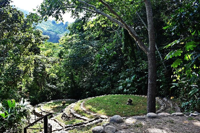 Unearth Indigenous Wisdom and Hike Through Lush Rainforest - Exploring the Caribbean Coast