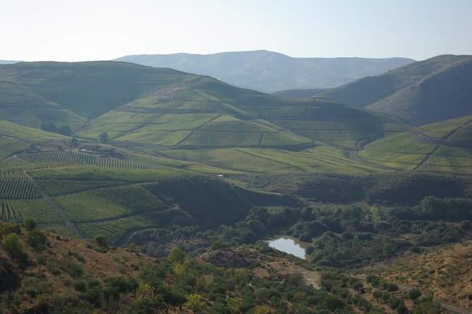 Upper Douro Walk & WineTour - Good To Know