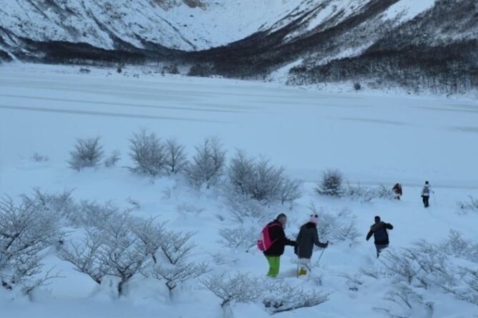 Ushuaia: White Adventure in Sleighs With Huskys - Embracing the Chilly Charm