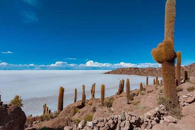 Uyuni Salt 1 Day Tour With Guide in English + Lunch and Sunset - Inclusions and Highlights