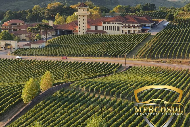 Vale Dos Vinhedos: Private Group Tour From Porto Alegre - Good To Know