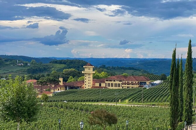 Vale Dos Vinhedos Private Tour From Porto Alegre or Gramado - Good To Know