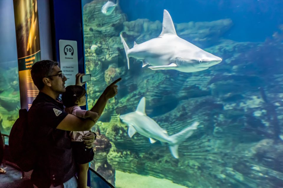 Valencia: Oceanographic Entry Ticket - Good To Know