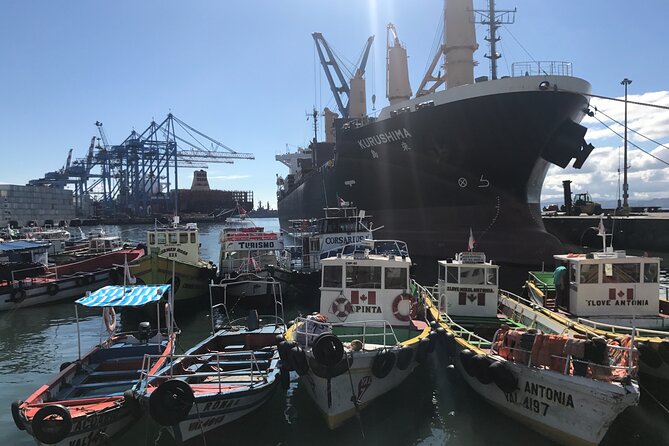 Valparaiso City Tour LGBT+ - Good To Know