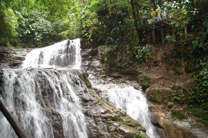 Veragua Rainforest Eco-Adventure & Aerial Tram & Tortuguero Canal - Good To Know